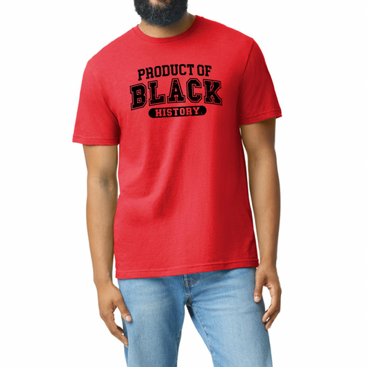 Black History T-Shirts-Product Of Black History